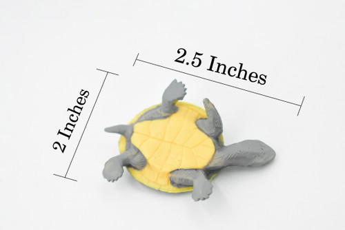 Argentine Side Necked Turtle, Rubber Reptile, Hand Painted, Museum Quality, Educational, Realistic Toy Figure, Diorama Model, Kids,  2 1/2 Inches. 