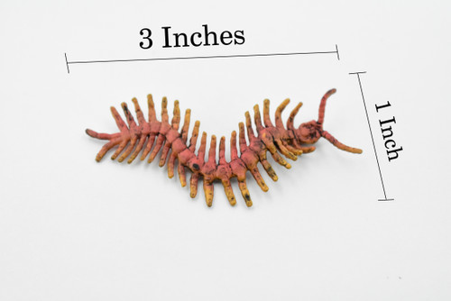 Centipede, Chilopoda, Rubber Insect, High Quality, Hand Painted, Educational, Realistic Toy Figure, Diorama Model, Replica, Kids,   2 1/2 Inches. 
