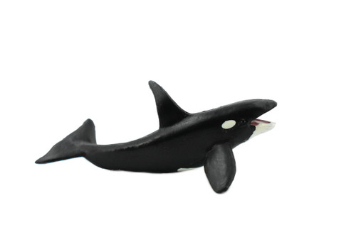 Orca, Killer Whale, Orcinus orca, Marine Mammal, Hand Painted, Rubber, Educational Design, Figure, Diorama Model, Toy, Kids,  3 Inches.  