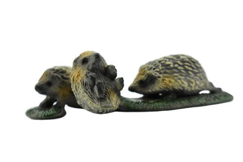 Hedgehog, Family of Three, Very Nice Rubber Animal, Hand Painted, Realistic Design, Educational, Diorama Model,  3 Inches. 