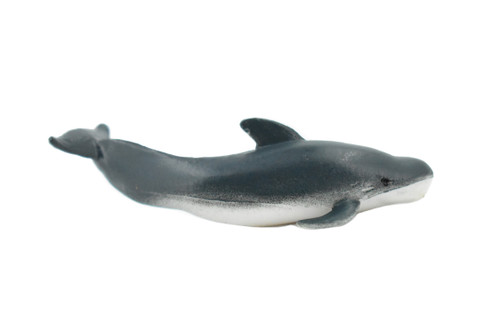 Pilot Whale, Marine Mammal, Rubber Animal, Realistic Toy Figure, Model, Replica, Kids, Hand Painted, Educational, Gift,        3"       CH440 BB109