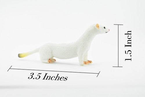 Short Tailed Weasel, Ermine, Stoat, Museum Quality, Educational, Rubber Animal, Hand Painted, Realistic, Diorama Model, Toy, Kids,  3 1/2 Inches.