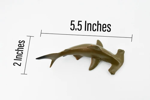 Hammerhead Shark, Museum Quality, Educational, Rubber Fish, Hand Painted, Realistic Toy Figure, Diorama Model, Kids, Educational, 5 1/2 Inches. 