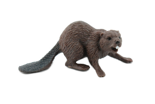 Beaver, Castor, Museum Quality, Rubber Animal, Hand Painted, Realistic Toy Figure, Model, Replica, Kids, Educational, Gift,      2 1/2"      CH182 BB113