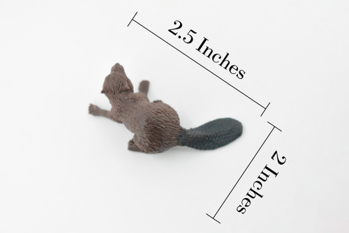 Beaver, Castor, Museum Quality, Hand Painted, Rubber Animal, Realistic Toy Figure, Diorama Model, Kids, Educational, Gift,      2 1/2 Inches.   