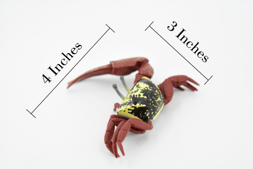 Crab, Fiddler Crab, Rubber Crustacean, Museum Quality, Hand Painted, Realistic Toy Figure, Diorama Model, Replica, Kids, Educational,  4 Inches.  