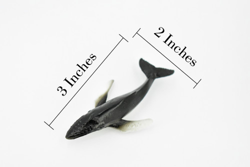 Humpback Whale, Endangered Marine Mammal, Hand Painted, Rubber, Educational Design, Figure, Diorama Model, Toy, Kids,   3 Inches. 