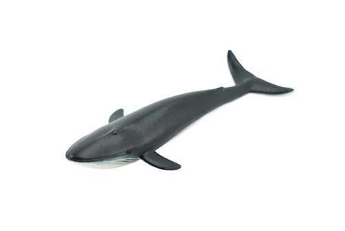 Whale, Blue Whale, Marine Mammal, Rubber Animal, Realistic Toy Figure, Model, Replica, Kids, Hand Painted, Educational, Gift,       4"     CH448 BB114