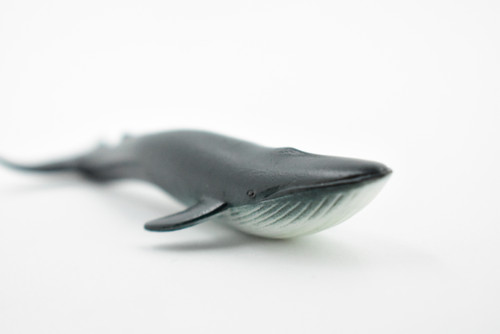 Blue Whale, Endangered Marine Mammal, Hand Painted, Rubber, Educational Design, Figure, Diorama Model, Toy, Kids,  4 Inches. 