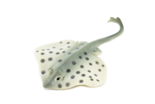Sting Ray, Spotted Stingray, Museum Quality, Rubber Fish, Hand Painted, Realistic Toy Figure, Diorama Model, Replica, Kids, Educational,  4 1/2 Inches. 
