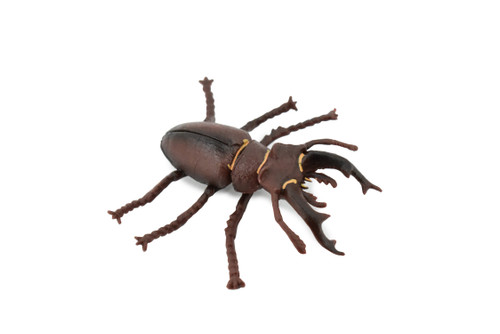 Stag Beetle, Museum Quality, Hand Painted, Educational, Realistic Insect, Toy Figure, Diorama Model, Replica, Kids,   3 Inches.