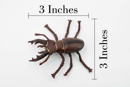 Stag Beetle, Museum Quality, Hand Painted, Educational, Realistic Insect, Toy Figure, Diorama Model, Replica, Kids,   3 Inches.
