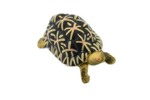Tortoise, Indian Star Tortoise, Testudinidae, Hand Painted, Museum Quality, Educational, Realistic Toy Figure, Diorama Model, Kids,  2 Inches. 
