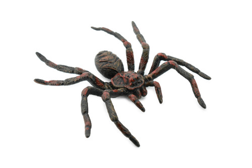 Spider, Wolf Spider, Arachnida, Rubber Insect, Hand Painted, Realistic Toy Figure, Model, Replica, Kids, Educational, Gift,       5"      CH186 BB115