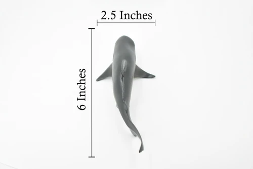 Bull Shark, Carcharhinus leucas, Museum Quality, Hand Painted, Educational, Rubber Fish, Diorama Model, Replica, Realistic Toy Figure, Kids,  6 Inches. 