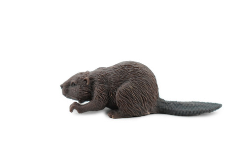 Beaver, Castor, Museum Quality, Hand Painted, Rubber Animal, Realistic Toy Figure, Diorama Model, Kids, Educational, Gift,      2 1/2 Inches.  