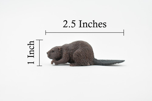 Beaver, Castor, Museum Quality, Hand Painted, Rubber Animal, Realistic Toy Figure, Diorama Model, Kids, Educational, Gift,      2 1/2 Inches.  