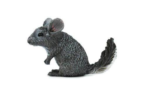 Chinchilla, Chincilldae Rodent, Very Nice Design, Hand Painted, Educational, Rubber Animal, Realistic Toy Figure, Diorama Model, Kids,  2  Inches.