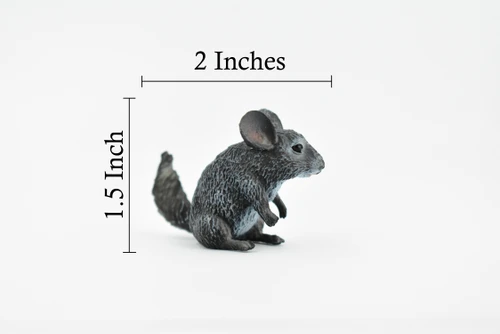 Chinchilla, Chincilldae Rodent, Very Nice Design, Hand Painted, Educational, Rubber Animal, Realistic Toy Figure, Diorama Model, Kids,  2 Inches.