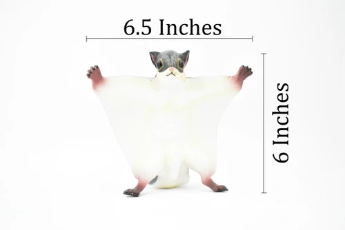  Flying Squirrel, Sciuridae, Museum Quality, Hand Painted, Rubber Mammal, Realistic Toy Figure, Model, Replica, Kids, Educational,  6 1/2 Inches.