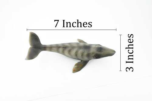 Gray Whale, Grey Back, Marine Mammal, Museum Quality, Hand Painted, Educational, Rubber Animal, Realistic Toy Figure, Diorama Model, Kids, 7 Inches. 