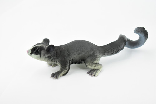Sugar Glider, Flying Squirrel, Gliding Possum, Museum Quality, Hand Painted, Rubber, Realistic, Diorama Model, Replica, Kids, Educational,  7 Inches.