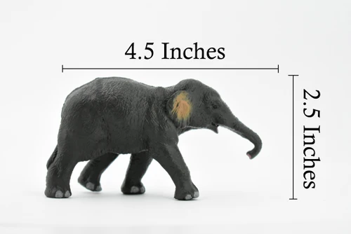 Asian Elephant, Baby, Calf, Museum Quality, Hand Painted, Educational, Rubber Animal, Realistic Toy Figure, Diorama Model, Kids, 4 1/2 Inches.