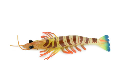 Shrimp, Prawn, Tiger Shrimp, Museum Quality, Hand Painted, Rubber Crustaceans, Realistic Toy Figure, Model, Replica, Kids, Educational, Gift,     7"      CH245 BB122 