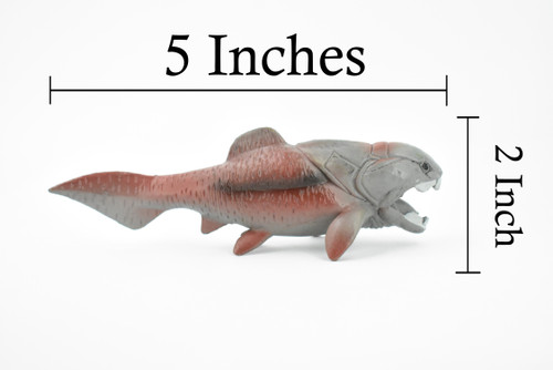 Dunkleosteus, Prehistoric Fish, Dinosaur, Museum Quality, Rubber Fish, Hand Painted, Realistic Toy Figure, Diorama Model, Kids, Educational,  5 Inches.