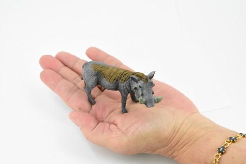 Warthog, Wart Hog, Museum Quality, Rubber Mammal, Hand Painted, Realistic Toy Figure, Model, Replica, Kids, Educational, Gift,         4"       CH261 BB123