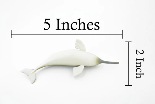 Ganges River Dolphin, Porpoise, Cetacea, Marine Mammal, Museum Quality, Hand Painted, Realistic Toy Figure, Diorama Model, Educational, 5 Inches. 