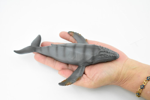 Gray Whale, Grey Back, Marine Mammal, Museum Quality, Hand Painted, Educational, Rubber Animal, Realistic, Diorama Model, Kids, 7 1/2 Inches. 