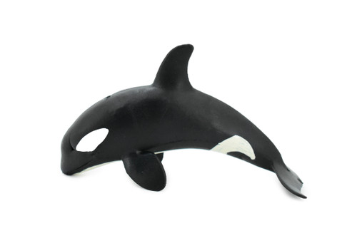 Orca, Killer Whale, Marine Mammal, Museum Quality, Hand Painted, Educational, Rubber Animal, Realistic, Diorama Model, Toy Figure, Kids,  5 Inches. 