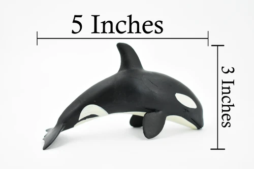 Orca, Killer Whale, Marine Mammal, Museum Quality, Hand Painted, Educational, Rubber Animal, Realistic, Diorama Model, Toy Figure, Kids,  5 Inches. 