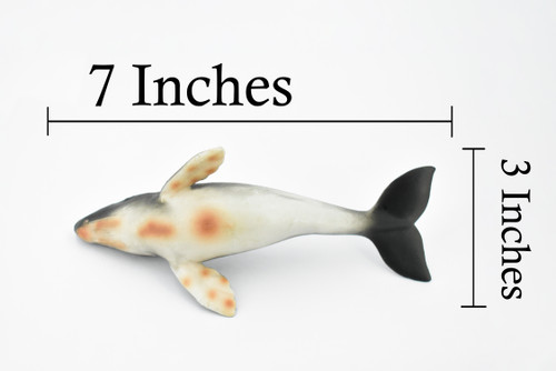 Grey Whale, Marine Mammal, Museum Quality, Hand Painted, Educational, Rubber Animal, Realistic, Diorama Model, Toy Figure, Kids, 7 Inches.  