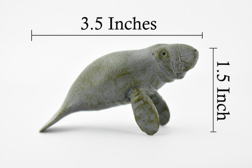 Manatee, Sea Cow, Dugongs, Marine Mammal, Museum Quality, Hand Painted, Educational, Rubber, Diorama Model, Realistic Toy Figure, Kids, 3 1/2 Inches.  
