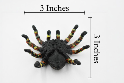 Goliath Bird Eating Spider, Tarantula family, Museum Quality, Educational, Hand Painted, Rubber Insect, Diorama Model, Realistic, Kids, Toys, 3 Inches.