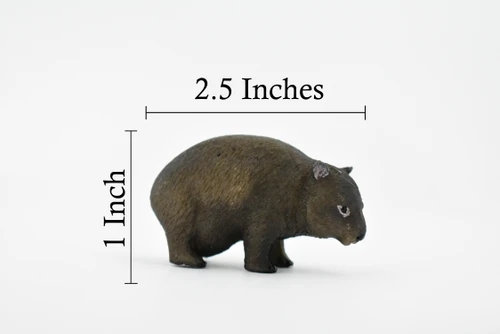 Wombat, Marsupial Animal, Very Nice Design, Hand Painted, Educational, Rubber Animal, Realistic Toy Figure, Diorama Model, Kids,  2 1/2 Inches.