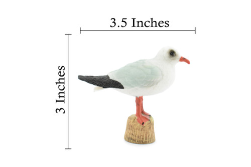 Bird, Seagull, Sea Gulls, Museum Quality, Hand Painted, Rubber, Realistic Toy Figure, Model, Replica, Kids, Educational, Gift,       3 1/2"     CH308 BB129