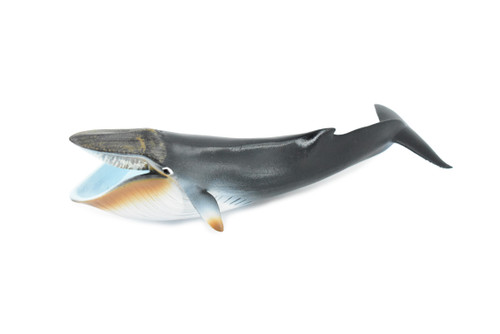 Blue Whale, Marine Mammal, Museum Quality, Hand Painted, Educational, Rubber Animal, Realistic Toy Figure, Diorama Model, Kids,  9 Inches. 