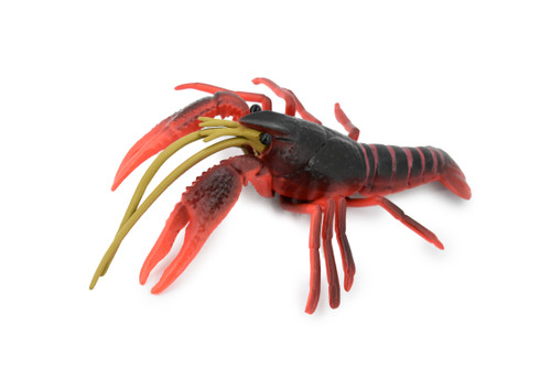 Crawfish, Crayfish, Museum Quality, Hand Painted, Rubber Crustaceans, Educational, Realistic, Lifelike, Educational, Gift,       7"      CH325 BB132