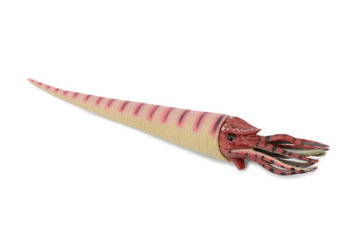Orthoceras, Extinct Nautiloid Cephalopod, Museum Quality, Rubber Fish, Hand Painted, Realistic Toy Figure, Diorama Model, Kids, Educational, 8 Inches. 