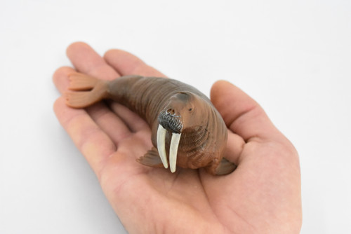 Walrus, Pinniped Marine Mammal, Museum Quality, Hand Painted, Rubber, Realistic Toy Figure, Model, Replica, Kids, Educational, Gift,        5"      CH327 BB132