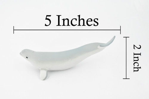 Beluga Baby Whale, White Whale, Calf, Museum Quality, Rubber, Hand Painted, Realistic Toy Figure, Model, Replica, Kids, Educational,  5 Inches.