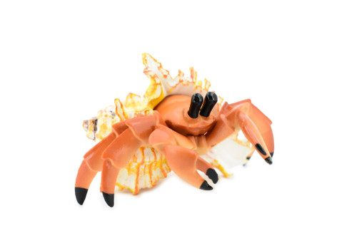 Crab, Hermit Crab, Museum Quality, Rubber Crustacean, Hand Painted, Realistic Toy Figure, Model, Replica, Kids, Educational, Gift,             5"       CH355 BB136