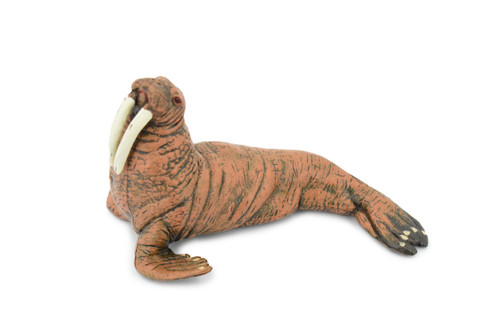 Walrus, Pinniped, Marine Mammal, Museum Quality, Educational, Hand Painted, Rubber, Realistic Toy Figure, Diorama Model, Replica, Kids,  5 Inches.