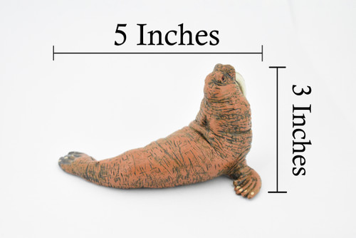 Walrus, Pinniped, Marine Mammal, Museum Quality, Educational, Hand Painted, Rubber, Realistic Toy Figure, Diorama Model, Replica, Kids,  5 Inches.