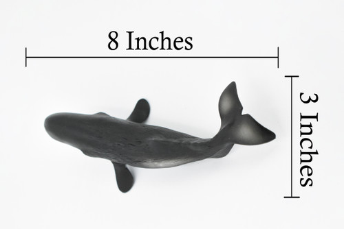 Sperm Whale, Cetacean, Marine Mammal, Museum Quality, Hand Painted, Rubber, Toy Figure, Diorama Model, Educational,  8 Inches. 