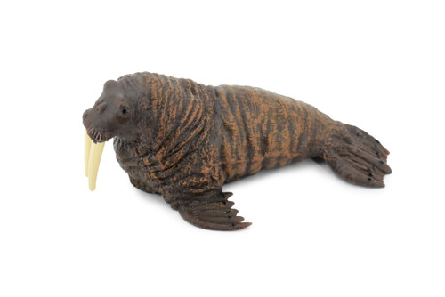 Walrus, Pinniped, Marine Mammal, Museum Quality, Educational, Hand Painted, Rubber, Realistic Toy Figure, Diorama Model, Replica, Kids,  5 Inches. 