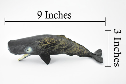 Sperm Whale, Cetacean, Marine Mammal, Museum Quality, Hand Painted, Rubber, Toy Figure, Diorama Model, Educational,  9 Inches. 
